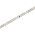 Luz de LED Strip SMD3528 12V impermeável